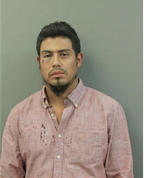 ALBERT SANTOS, Cook County, Illinois