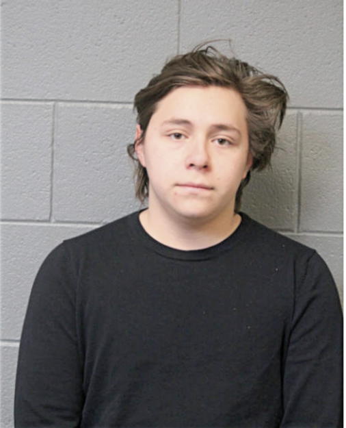 MATTHEW J SPECTOR, Cook County, Illinois