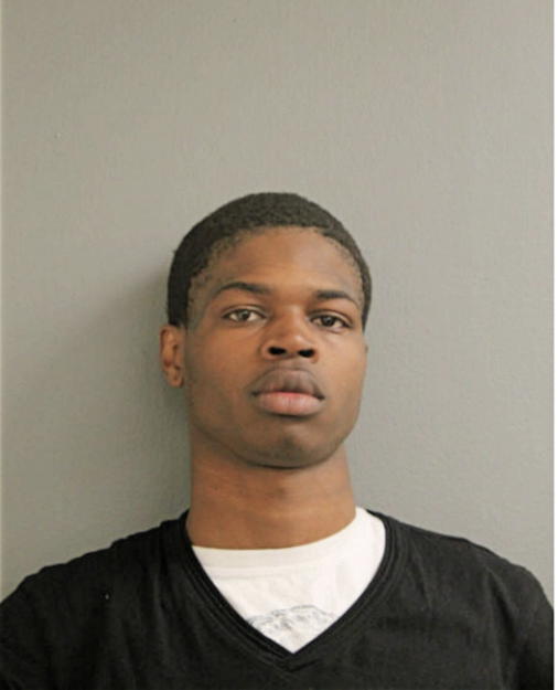 CHRISTOPHER L WIMES, Cook County, Illinois