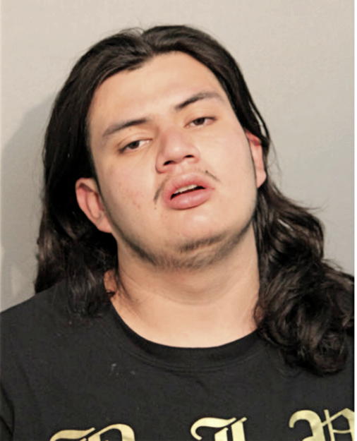LUIS ABARCA, Cook County, Illinois