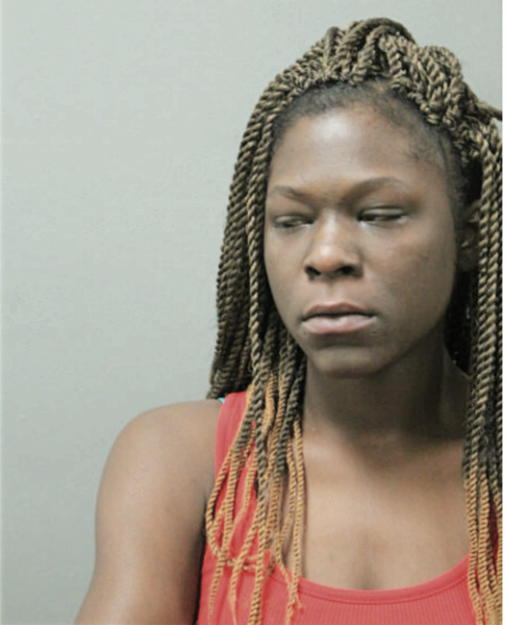 TERETHA S ALLEN, Cook County, Illinois