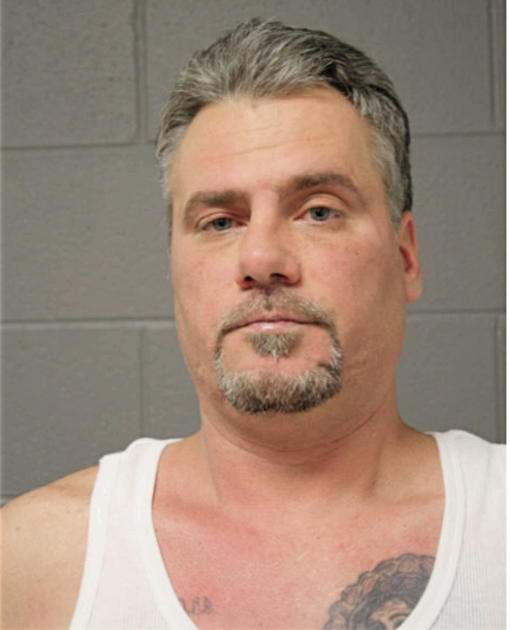 MICHAEL R ANDERSON, Cook County, Illinois