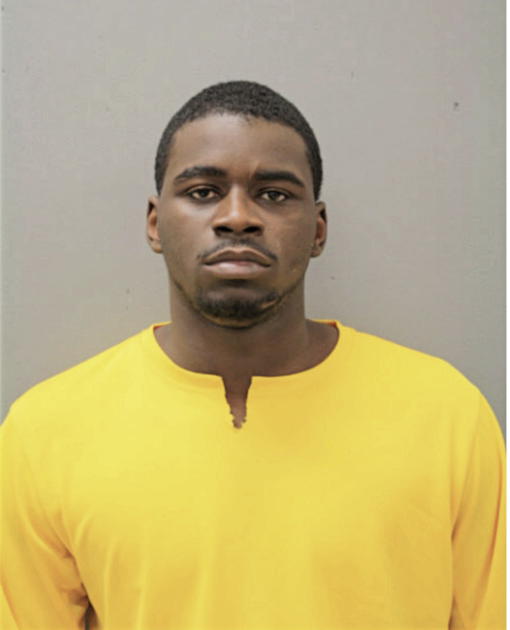 DANNY M ARMSTRONG, Cook County, Illinois