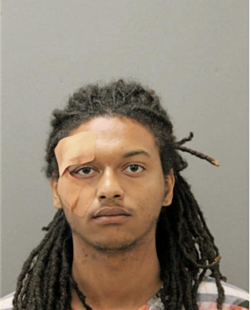 MIZANI K BAILEY, Cook County, Illinois