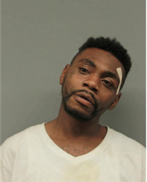 DERRICK D BAISTEN, Cook County, Illinois
