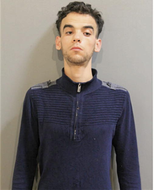 HAMZA BOURICHTE, Cook County, Illinois