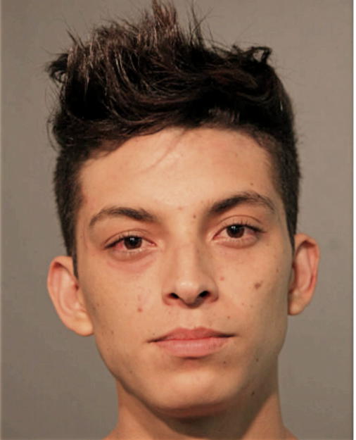 JOSE M CORTEZ, Cook County, Illinois