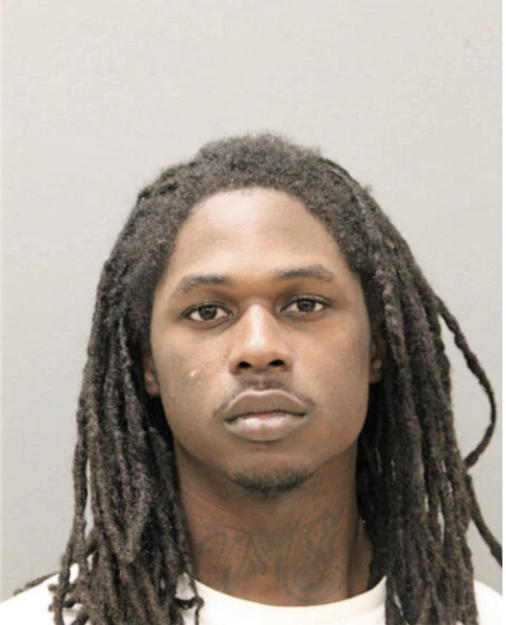 TERRELL A DOSS, Cook County, Illinois