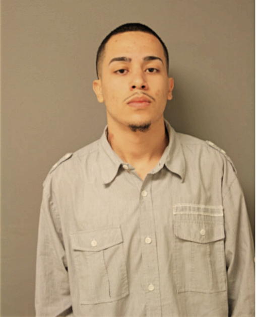 ANGEL L FELICIANO, Cook County, Illinois