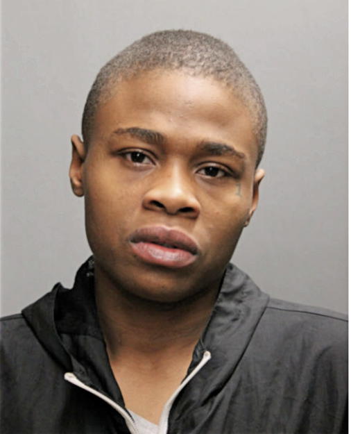 ASHLEY M GALLION, Cook County, Illinois