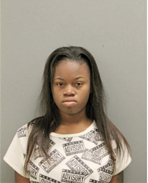 DANISHA DL GREYER, Cook County, Illinois