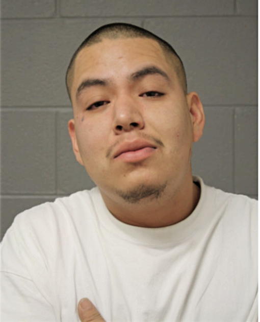 ANDRES HERNANDEZ, Cook County, Illinois