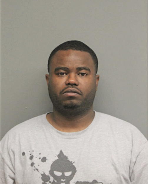 DAVID A JOHNSON, Cook County, Illinois