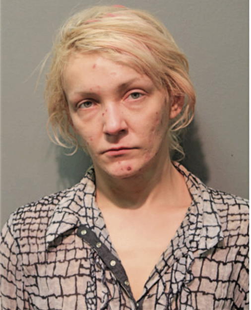 SYLVIA LISOWSKA, Cook County, Illinois