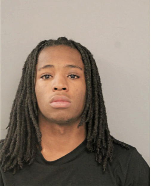 MICHAEL M MOSS, Cook County, Illinois