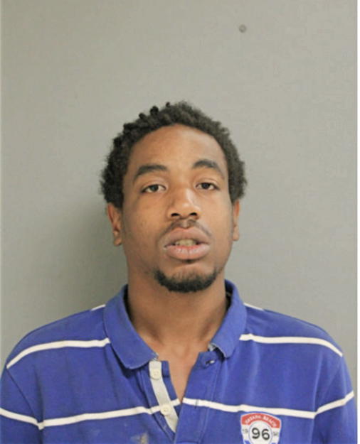 DAMIEN S RICHARDSON, Cook County, Illinois