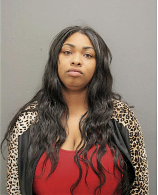 BRITTANI R ROGERS, Cook County, Illinois