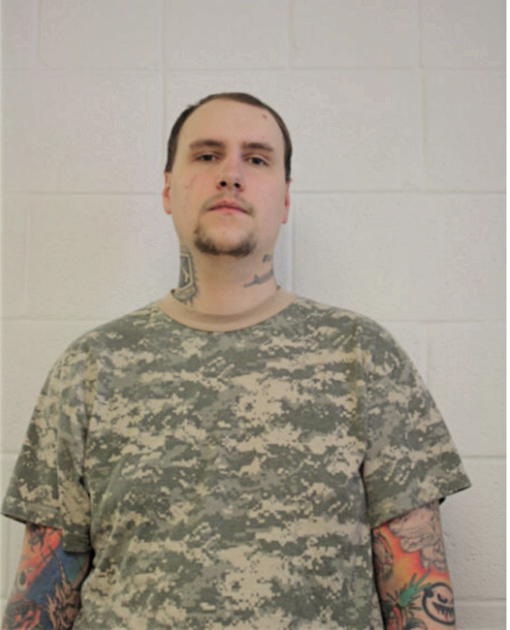 DANIEL T SCHMIDT, Cook County, Illinois