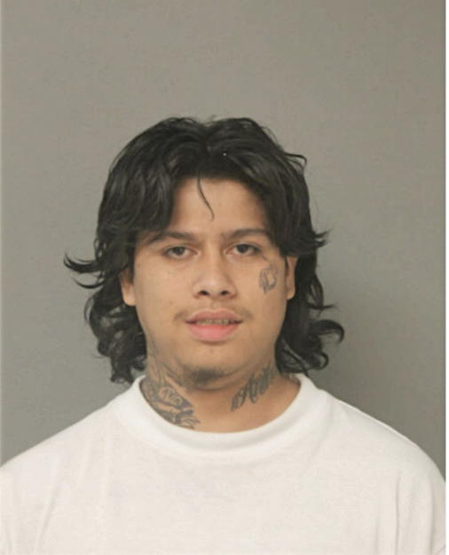 MARCO A TAVIRA, Cook County, Illinois