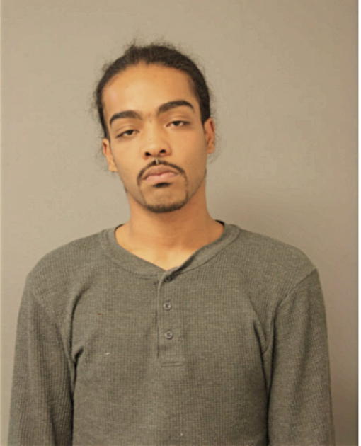 JAMES M WILLIAMS, Cook County, Illinois