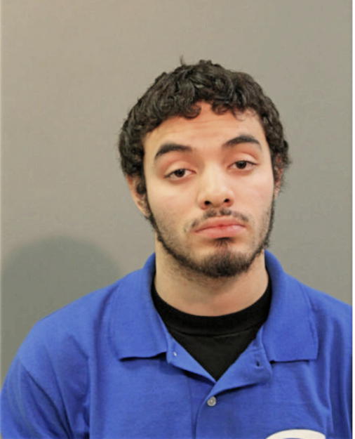 FABIAN CESAR ALVARADO, Cook County, Illinois