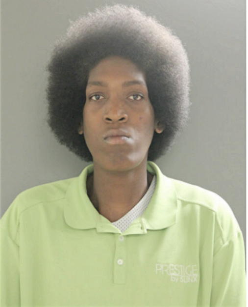 RAGHIB I ANDERSON, Cook County, Illinois