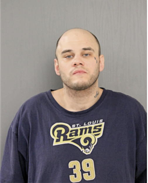 DANIEL B ANDREWS, Cook County, Illinois