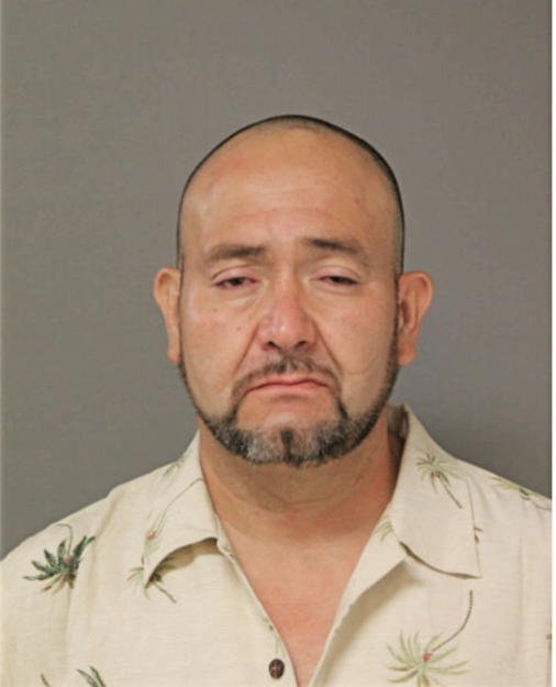 UBALDO ARZATE-ANAYA, Cook County, Illinois