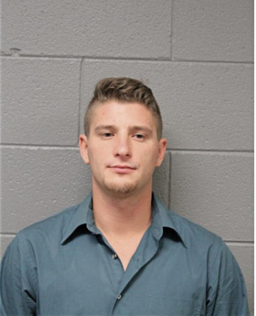 BRYAN M BLASKOVITZ, Cook County, Illinois