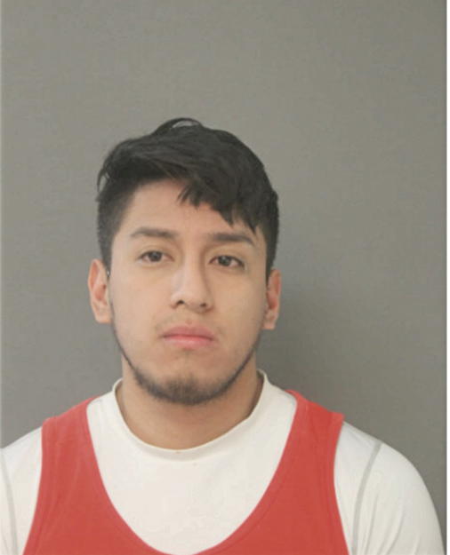 ALEX D CAJILEMA, Cook County, Illinois