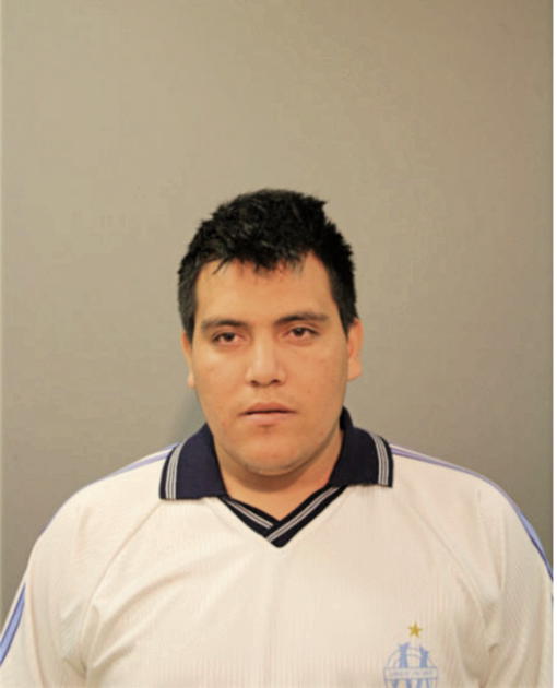 JOSE M ECHEVARRIA, Cook County, Illinois