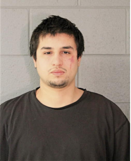 VICENTE FERNANDEZ, Cook County, Illinois