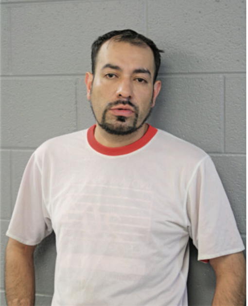 LISANDRO GABRIEL, Cook County, Illinois