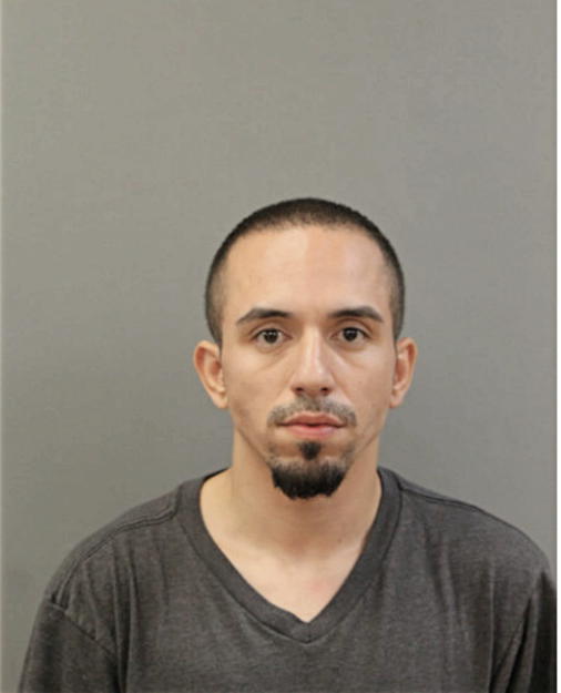 JOSE L GALARZA, Cook County, Illinois
