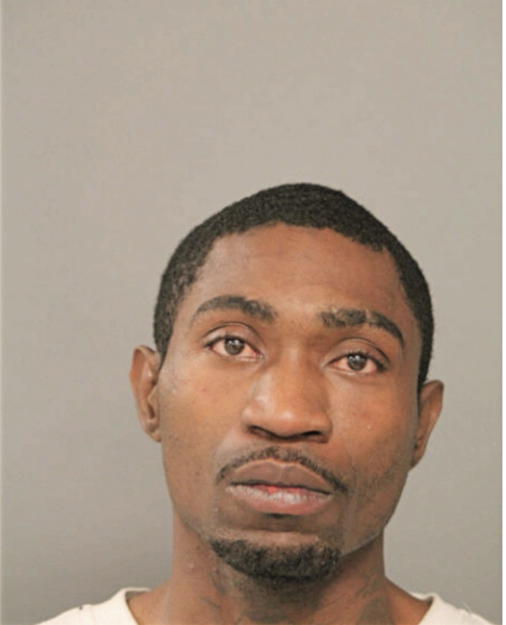 DAVID D HIGGINS, Cook County, Illinois
