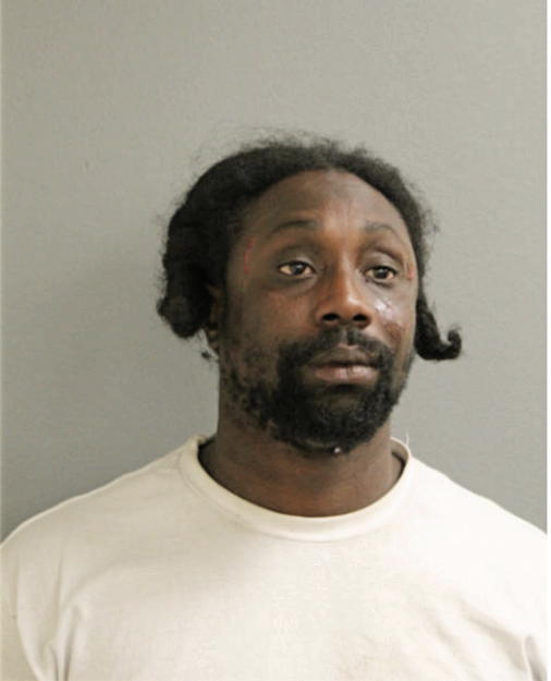LAMONT A JOHNSON, Cook County, Illinois