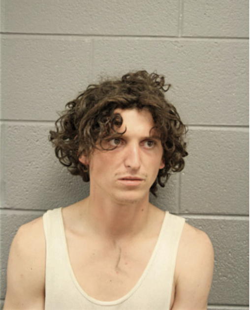 DEREK S JOHNSTON, Cook County, Illinois