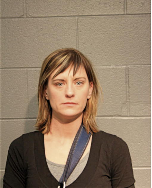 KRISTY E LARMON, Cook County, Illinois