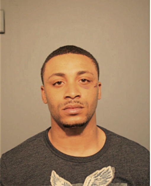MARTISE D LEWIS, Cook County, Illinois