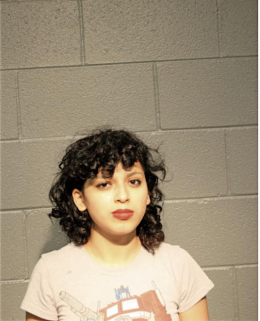 CONCEPCION LOPEZ, Cook County, Illinois