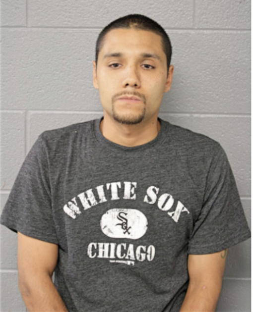 NESTOR A LOPEZ, Cook County, Illinois