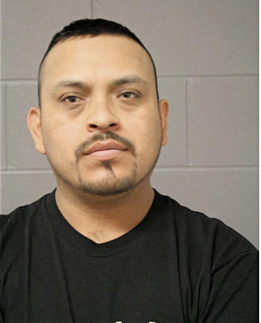 JESUS J MARES, Cook County, Illinois