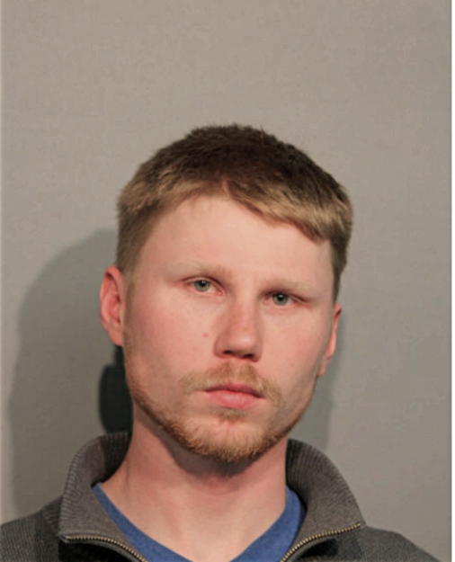 DMITRI N MORLAND, Cook County, Illinois