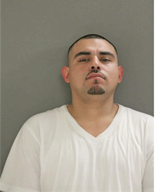 LUIS A MOTA, Cook County, Illinois