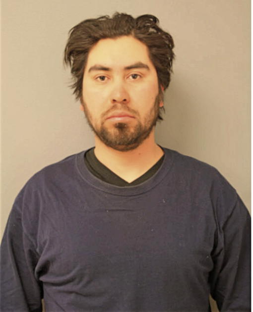 FERNANDO RAMIREZ, Cook County, Illinois