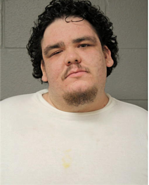 ALFREDO J REYES, Cook County, Illinois