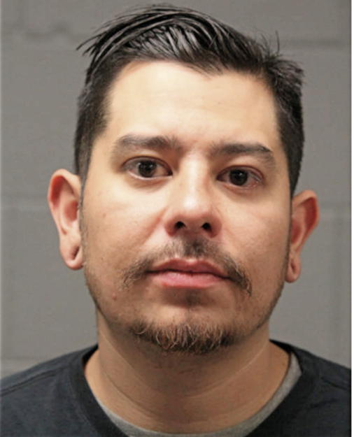 STEPHEN C REYES, Cook County, Illinois