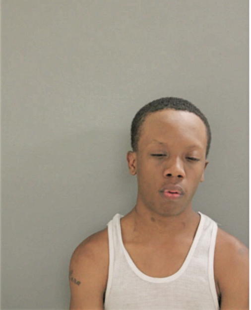 DAVID L ROBINSON, Cook County, Illinois
