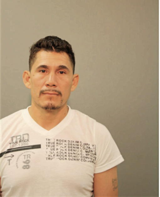 SALVADOR SANCHEZ, Cook County, Illinois