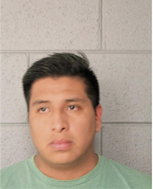 JUAN C SANTO-DURAN, Cook County, Illinois